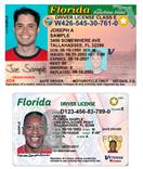drivers license